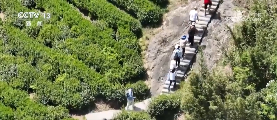 “赛事经济”激活绿水青球友会平台山 “户外+”跨界融合全业态释放消费新热点(图9)